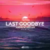 Hoten - Last Goodbye Remix - Single